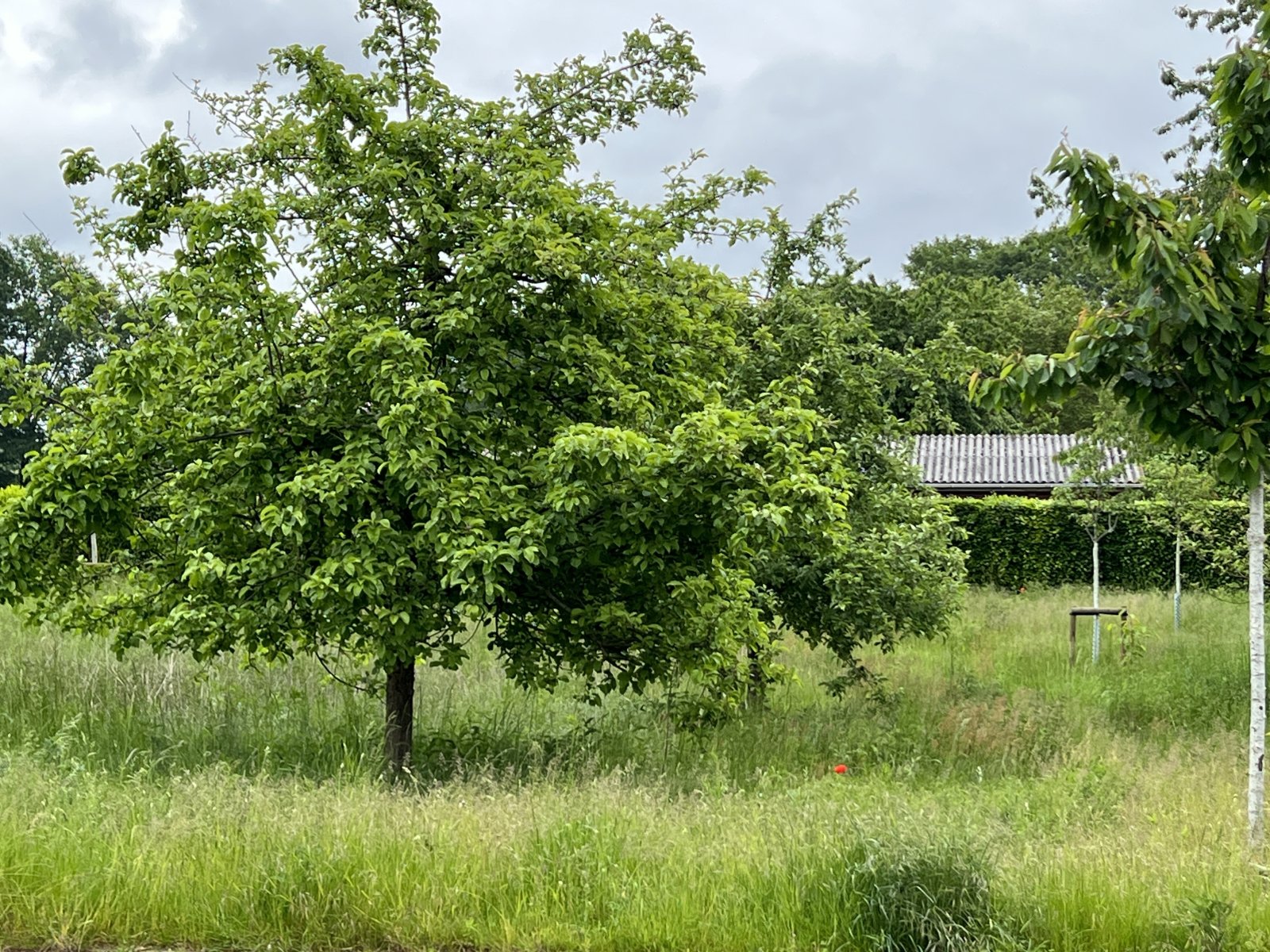 Ihr Grundstück – ein Zuhause für eine neue Familie 🏡