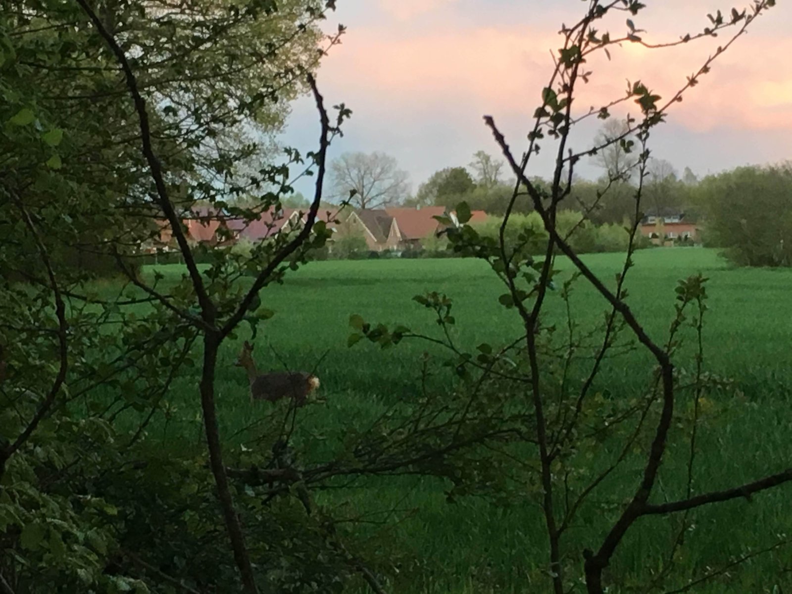 Ihr Grundstück – ein Zuhause für eine neue Familie 🏡